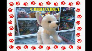 Como Hacer Perro Chihuahua Chihuahua Teddy Bear Teddy