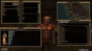 20 hours in, my max level Mage is ready to start the main quest. : Morrowind