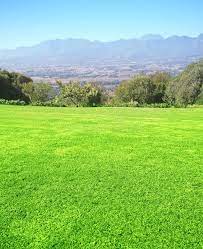 Green Grass Background With Mountains Sponsored Grass Green Mountains Background Ad Grass Background Green Grass Green Grass Background