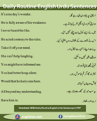 English To Urdu Sentences Translations With Pdf File English Vocabulary Words Basic English Sentences English Words