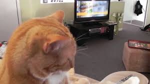 Reduce file size of your animated gif online. Couch Potato Gif On Imgur