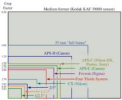 a graphical comparison of mirrorless camera sensors sizes