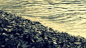 прости меня за то что я женат исп а корж F Shopen Prelyudiya 4 Mi Minor Klassicheskaya Muzyka Minor Muzyka