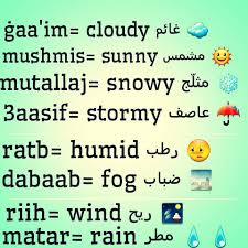 Learning Arabic Msa Fabienne