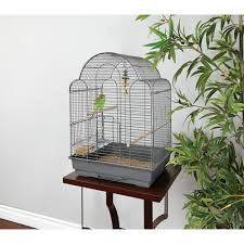 The cheapest offer starts at £5. You Me Parakeet Scallop Top Cage Petco