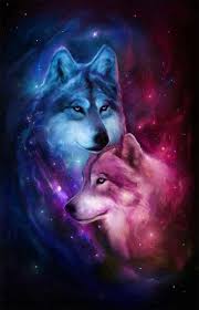 Amor Fuera De Este Mundo Dieren Kunst Wilde Dieren Kunst Dieren Mooi
