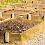 Difference between artificial heating & solarization Tips For Solarizing Garden Beds
