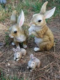 Image result for tbn:nuNU7FPK4A54yM::rvforsaleguide.com/images/bunny-resting-picture.jpg