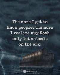 The More I Get To Know People The More I Realize Why Noah Only Let Animals On The A Inspirational Quotes Motivation Inspirational Quotes Daily Quotes Positive