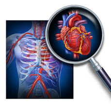 Ischemic Heart Disease What Veterans Need To Know Both Before And After They Ve Been Awarded Service Connection Hill Ponton P A