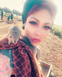 How can I find my lost pet squirrel?