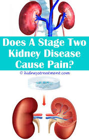 Pin On Polycystic Kidney Disease
