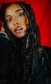 Beginner friendly camera recommendations needed