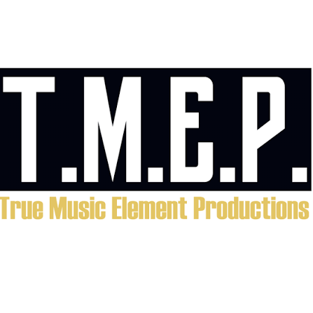 Tmepmusic Coupons and Promo Code