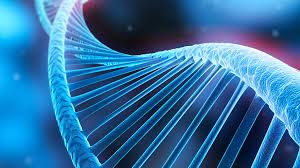 Cell and Gene Therapy I Bayer