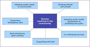 Meeting The Policy Agenda Part 1 The Role Of The Modern District Nurse British Journal Of Community Nursing