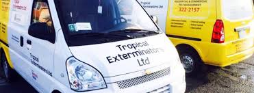 Our mission here at heron is simple: About Tropical Exterminators Pest Control In The Bahamas
