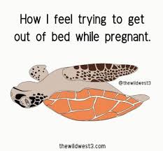 We did not find results for: 25 Funny Pregnancy Quotes Every Mom Will Appreciate