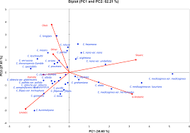 Image result for Crotalaria cleomifolia