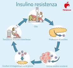 Le cause che determinano insulino resistenza non sono totalmente note. Ykwdpcny49x8vm