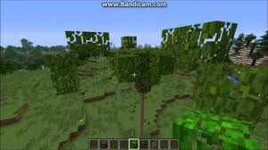 A real designer builds a mansion in minecraft • professionals play. Palm Tree Minecraft Novocom Top