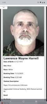 What are the faces of these local criminals?