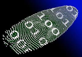 Download the perfect bitcoin pictures. Bitid Will Verify Your Identity With The Bitcoin Blockchain