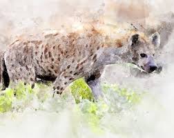 Hyena Hyena Art Hyena Gift Hyena Painting Peinture Peinture Abstraite Tableau Peinture Wildlife Painting Water Color Lovers Art Wildlife Paintings Art