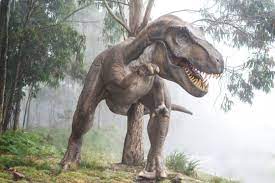 Click here for more albertosaurus pictures. Albertosaurus Facts For Kids Teaching Wiki