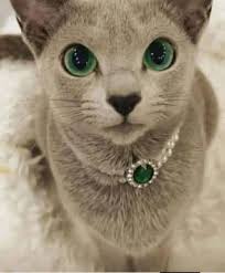 She needs a cool new name! Starting with the letter M, not Molly.