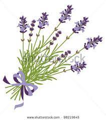 Lavender Bundle Clipart Lavender Stock Vector Flower Art Lavender Flowers Abstract Images