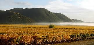 It lies between the provinces of colchagua and talca and extends from the pacific to the argentine frontier, spanning an area of 7,280.9 km 2 (2,811 sq mi). Curico Valley And Radal Siete Tazas Chile