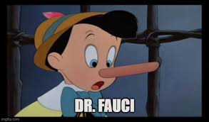 Save 84% off the newsstand price! Dr Pinocchio Imgflip