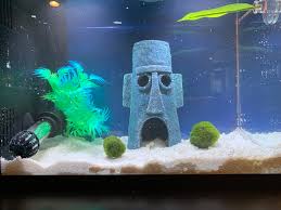If you're keeping your male betta on his own, you might think he seems kinda lonely? Multiple Tank Syndrome And Addiction To Bettas And Plants 3 Week Transition From My First Betta Tank To My Current Set Ups From 1 To 6 Tanks In 3 Weeks Flat Album On Imgur