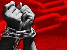 Totalitarismul în perioada interbelică a fost de două feluri: Secolul Xx Intre DemocraÅ£ie Si Totalitarism Istorii RegÄƒsite