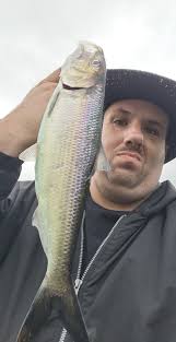 Chicopee River Cleanup Event in Granby