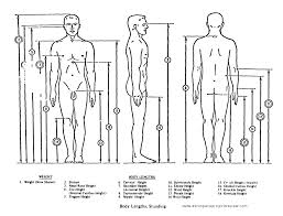 Image Result For Anthropometry Image Diagram Floor Plans