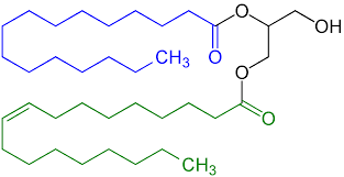 This gummy material is called lac. Mono And Diglycerides Of Fatty Acids Wikipedia