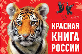 Zhivotnye Krasnoj Knigi Rossii I Mira