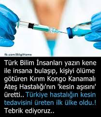 Ferah Aktan D Adli Kullanicinin Bilgi Panosundaki Pin Bilgi Bilgi Islem Bilgi Karti