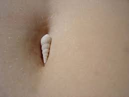 Six Reasons Whu Your Belly Button Bleeding Belly Button Belly Buttons