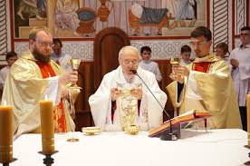 Priests and priestesses have existed since the ancient times, from the simplest societies, to hamlets and royal families. Aging Catholic Priesthood Risk Health To Comfort The Faithful During Pandemic