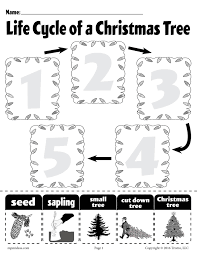 Life Cycle Of A Christmas Tree Printable Worksheet Christmas Tree Printable Tree Life Cycle Life Cycles