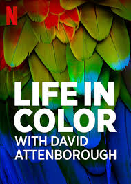 Attenborough's Life in Colour