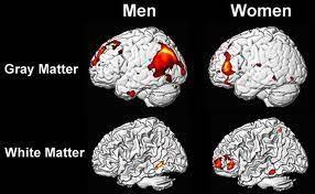 Taking the examples one by one: 2x2 Pictorial Of Gray Matter Vs White Matter In Males And Females White Matter Human Brain Gray Matters