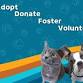 Halloween Adoption Event event image