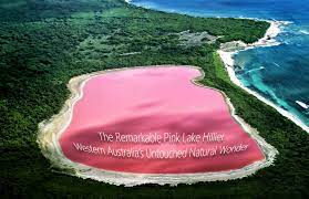 As noted above, the in fact, swimming in the lake's water is safe and fun but impossible to do for normal tourists as the lake can't be visited. The Remarkable Pink Lake Hillier Western Australia S Untouched Natural Wonder The Pinnacle List