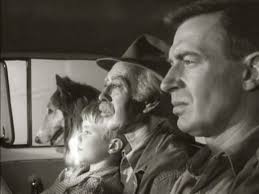 Orange Crate Art: Deep-focus Lassie