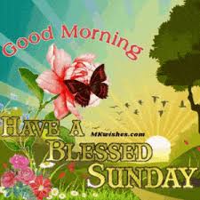 Maybe you would like to learn more about one of these? Top Good Morning Blessings Gif Have A Blessed Day Gifs Mk Wishes