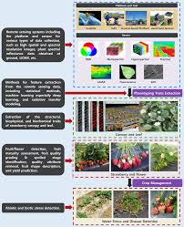 7 802 tykkäystä · 363 puhuu tästä · 1 921 oli täällä. Remote Sensing Free Full Text Remote Sensing And Machine Learning In Crop Phenotyping And Management With An Emphasis On Applications In Strawberry Farming Html